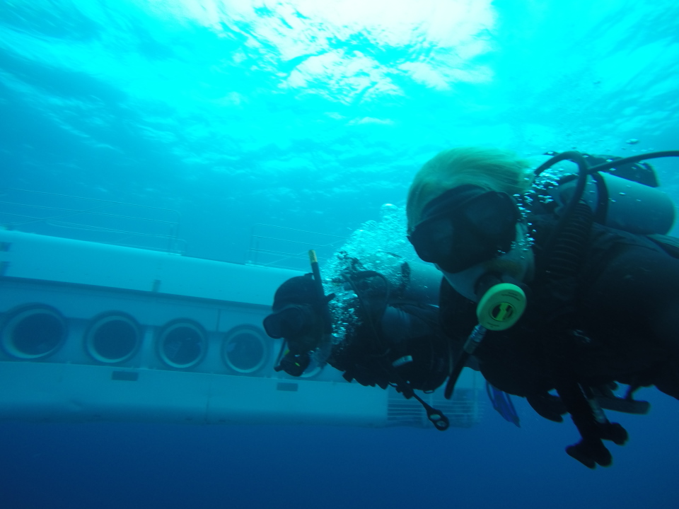 Explora la vida submarina de Portocolom: Una guía para buceadores principiantes