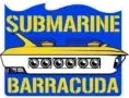 logo-barracuda-submarino-.png